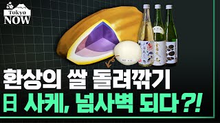 중상급 사케로 최상급 사케를 넘었다. 일본서 부는 사케 혁명 / 정영효의 도쿄나우