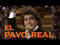 EL PAVO REAL - José Luis Rodríguez (el puma) / - HQ Audio Remaster