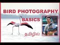 BIRD PHOTOGRAPHY | BASICS|  TAMIL PHOTOGRAPHY