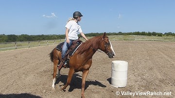 Exzackly On Time - amateur rider first time on barrels! - ValleyViewRanch.net