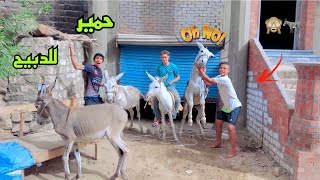 لما اخوك الصغير يشتغل في مزرعة حمير ?| علاء حسين