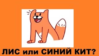 ЛИС или СИНИЙ КИТ