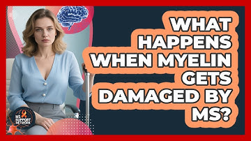 What Happens When Myelin Gets Damaged By MS?