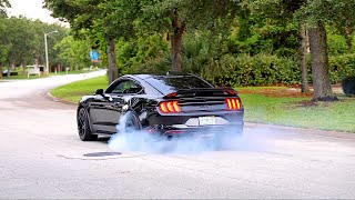 Mustangs at Daytona 2023 - Fast Performance Night Meet Pullouts & Burnouts!!