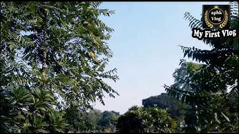 My First Vlog 💖//My First Vlog On YouTube//Active rahul//aphk vlog