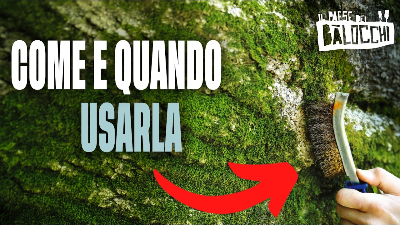 La POLEMICA delle spazzole di FERRO