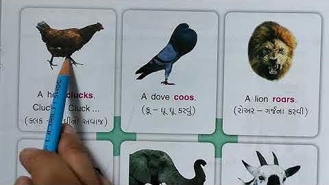 Std-2 English Primer (part-2) 6. Sounds of animals and birds.