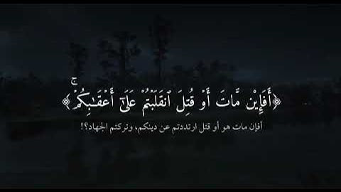 ومن ينقلب على عقيبه فلن يضر الله شيئا القارئ ماهر المعقيلي