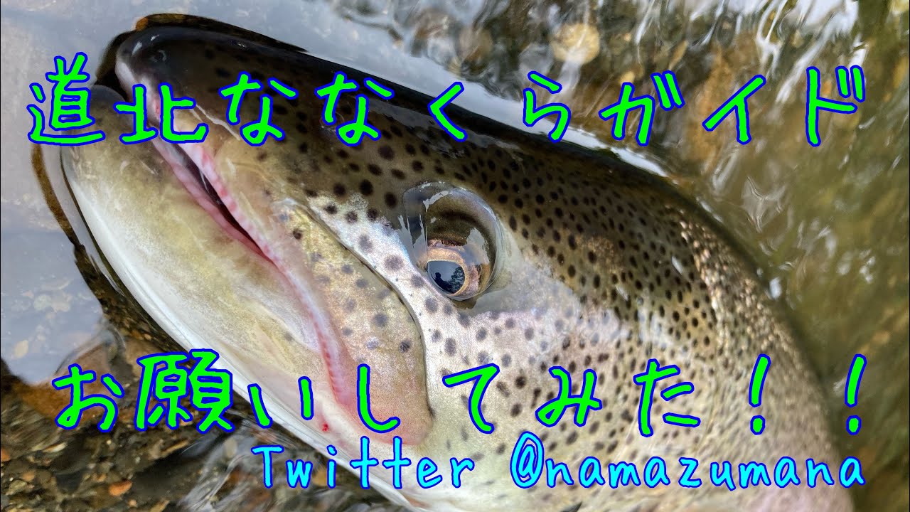 道北 ななくらガイド お願いしてみた 湿原イトウ釣行 Youtube