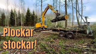 Del 2 Plockar Stockar Som Ska Bli Ved