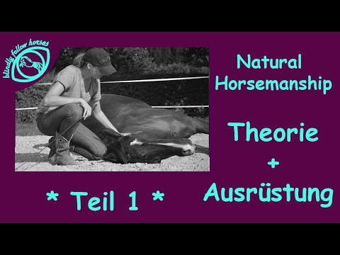 Natural Horsemanship für Einsteiger *** Teil 1 * **