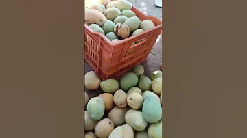 العين صابتنا ورب العرش نجانا الحمدلله على كل حال 
