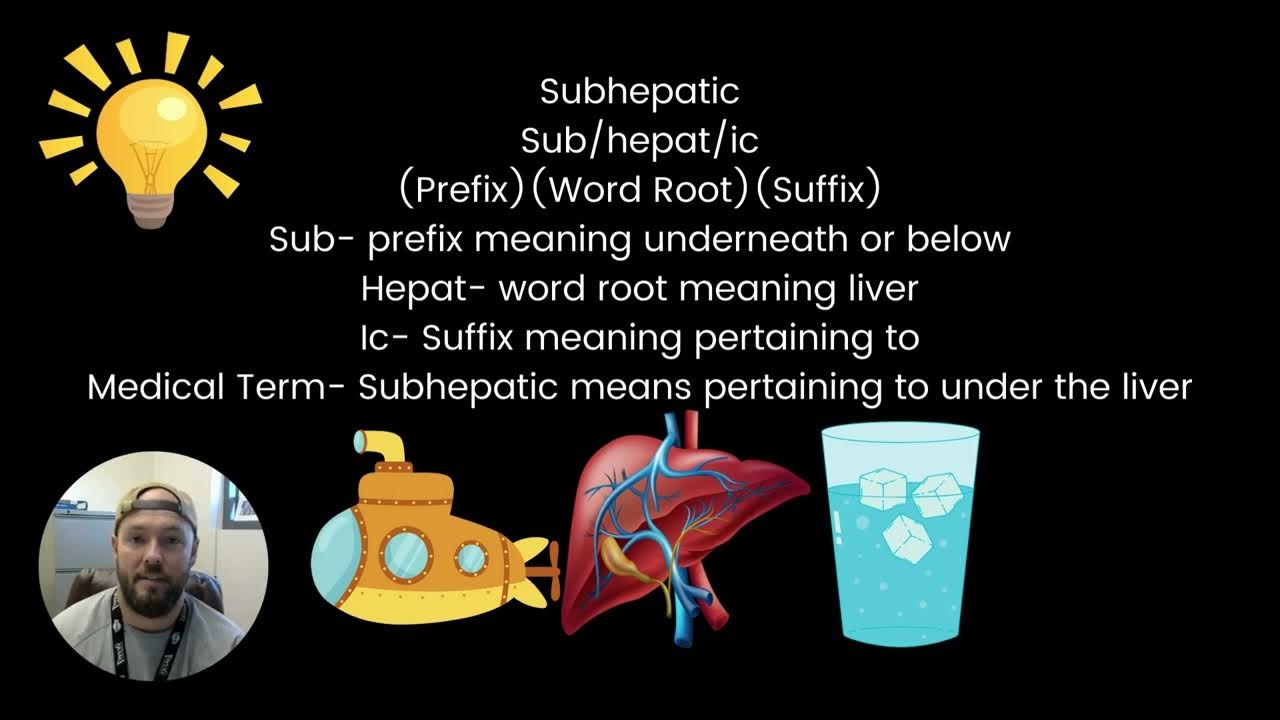 Exploring medical language the basics youtube