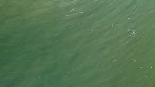 DJI 0017