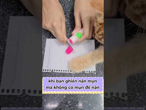 Video: Nhật ký 