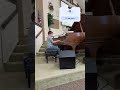 Piano performance what’s the song?#piano #music #shorts