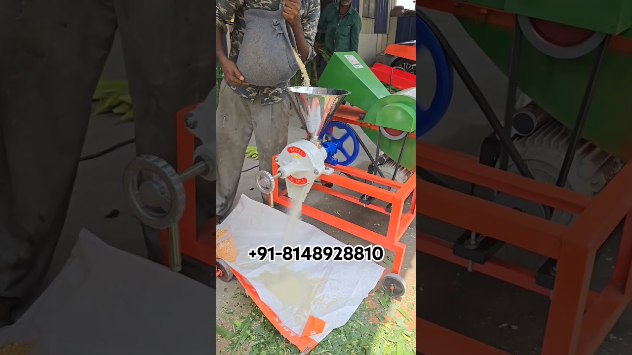 Chaff cutter cum pulverizer