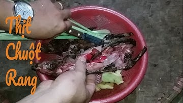 Món Ăn Núi Rừng - Thịt Chuột Rừng Rang Xả Gừng Thơm Đến Lạ (Roasted rat meat)