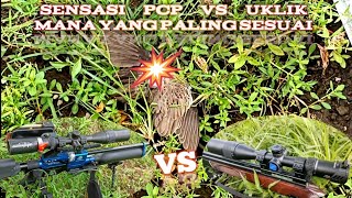 Sensasi Pcp Vs Uklik.... Mana Yang Paling Sesuai?