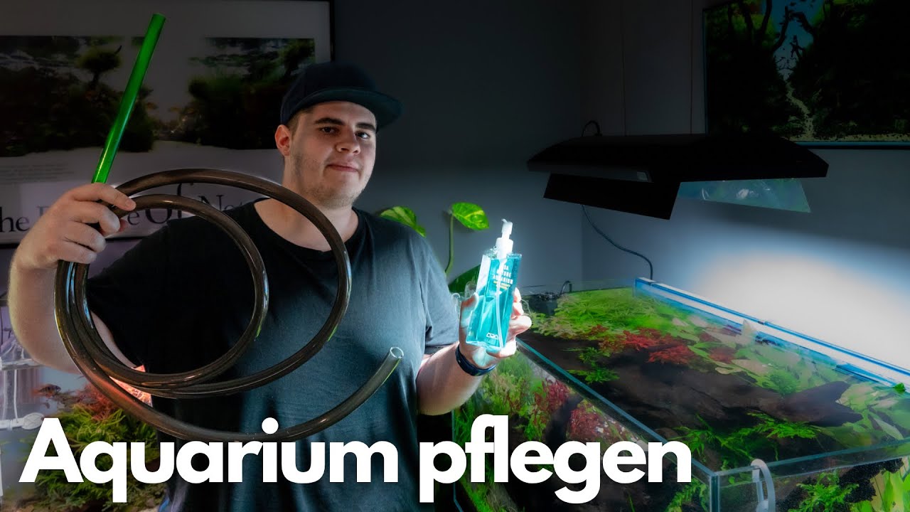 AQUARIUM Wasserwechsel und Pflege | ADA Düngersystem