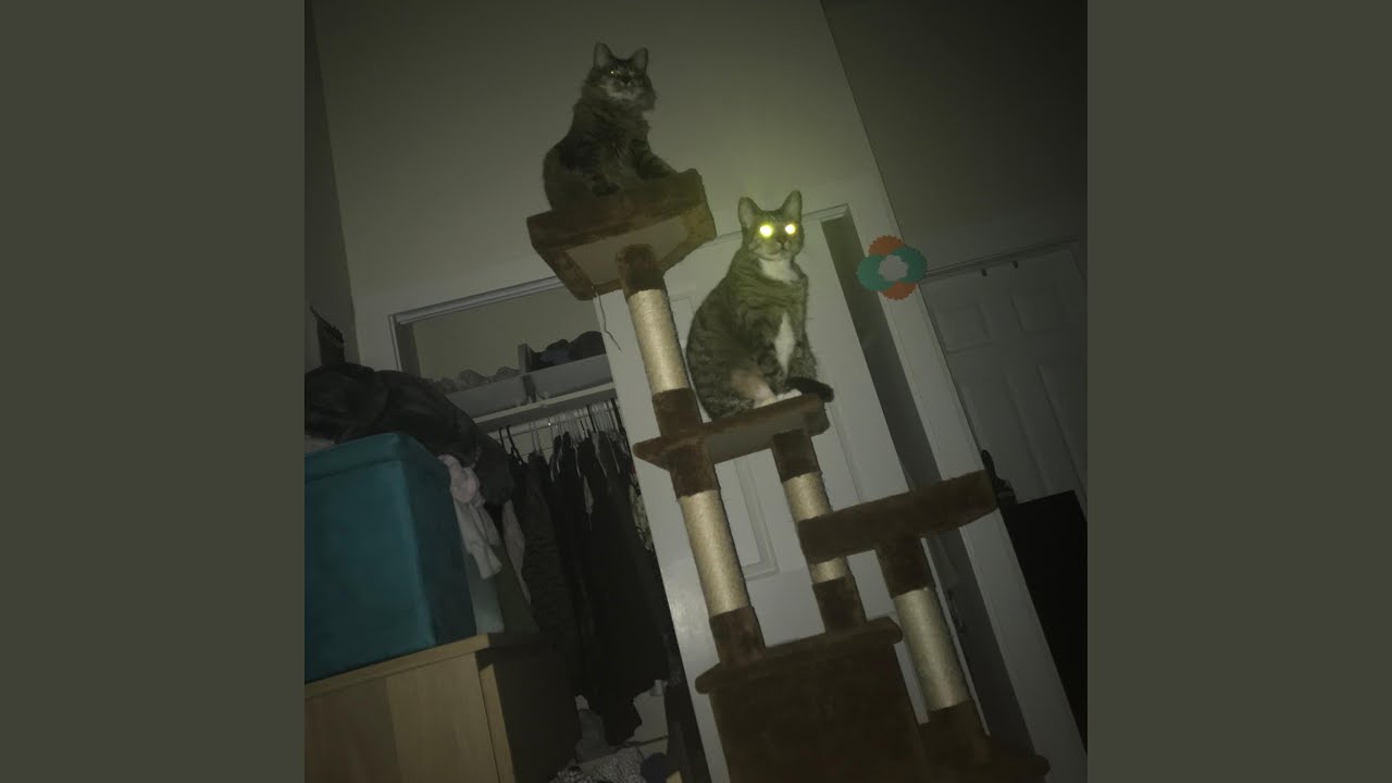 i thought i called out to you