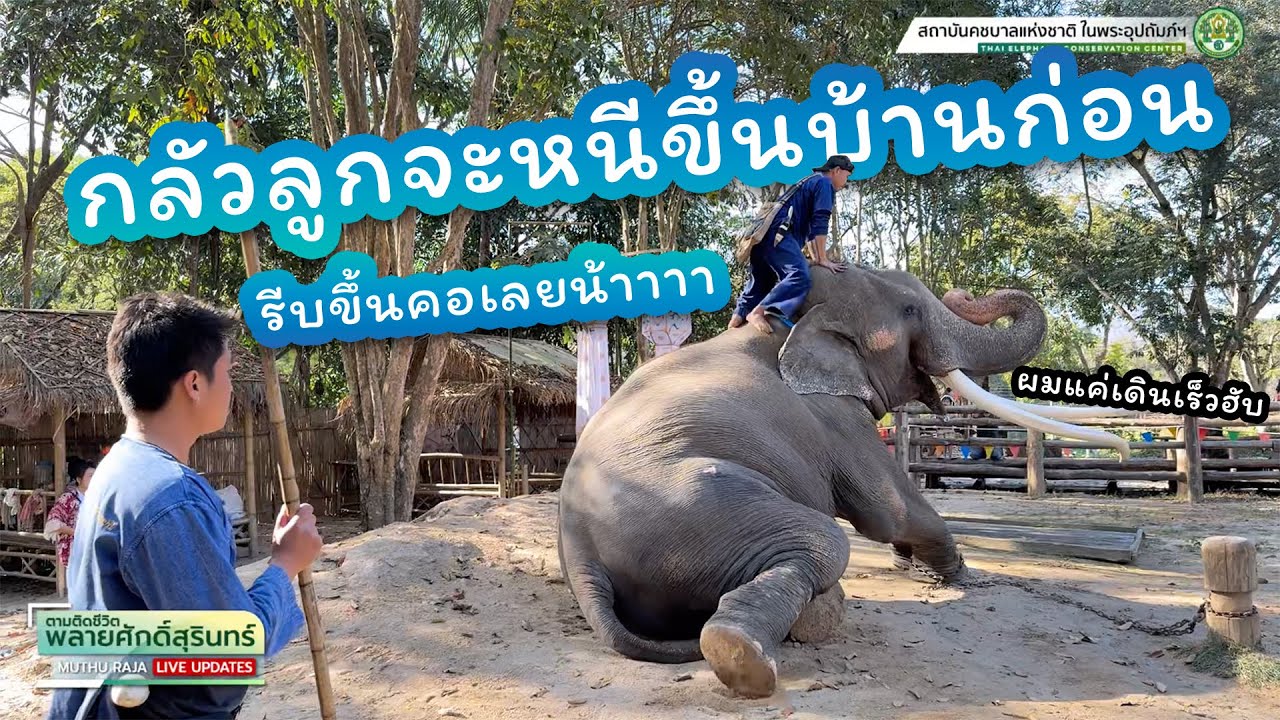 ตามติดชีวิต 