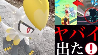 ポケモンgo 驚くべき確率 まさかの激レア色違いと本命がタイミングよく現れてしまった アローラシーズン 第７世代 色違いイワンコ ジャラコ ルガルガン Youtube