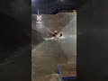 When the skate park is flooded 😂🛹         🎥: Instagram / danny_leon