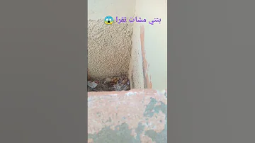 بنتي مشات تقرا Maroc Marocco Marocaine Marocain Maroco Maroccan Marocaines Maroccan 
