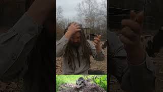 Aloe Vera Cleanse - 6 YEAR DREADLOCKS