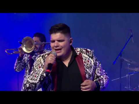 Y Yo Que Te Amo En Vivo Pequeños Musical