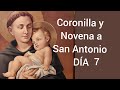 DÍA 7. Novena y Coronilla a San Antonio de Padua