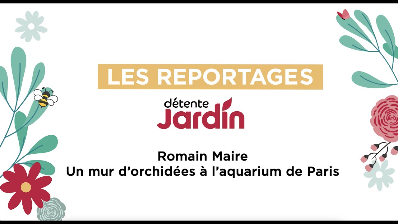 Un mur d'orchidées à l'Aquarium de Paris