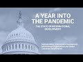 A Year into the Pandemic: The State of International Development