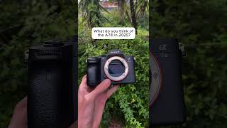 sony a7iii in 2025?