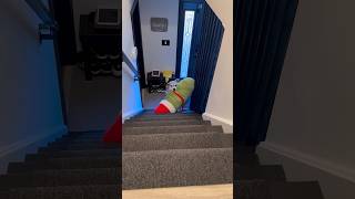 This Dogs A Problem Solver