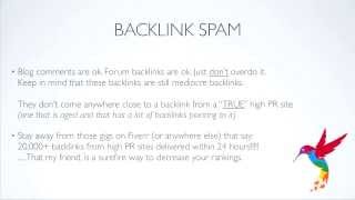 Survive The Google Hummingbird - SEO Secrets Revealed