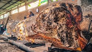 The Blade Never Slows Down! Trembesi Giant Cut Into Perfect Lumber