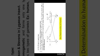Genetic determination of sex in human | XX—XY type or Lygaeus type | neet biology | class 12 bio