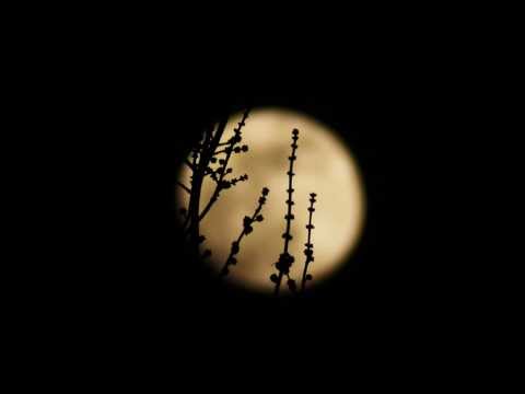 ديوان الأ لب ـيـر ي بصوت الح م ي ن ج ـود ة عالية Mp3 