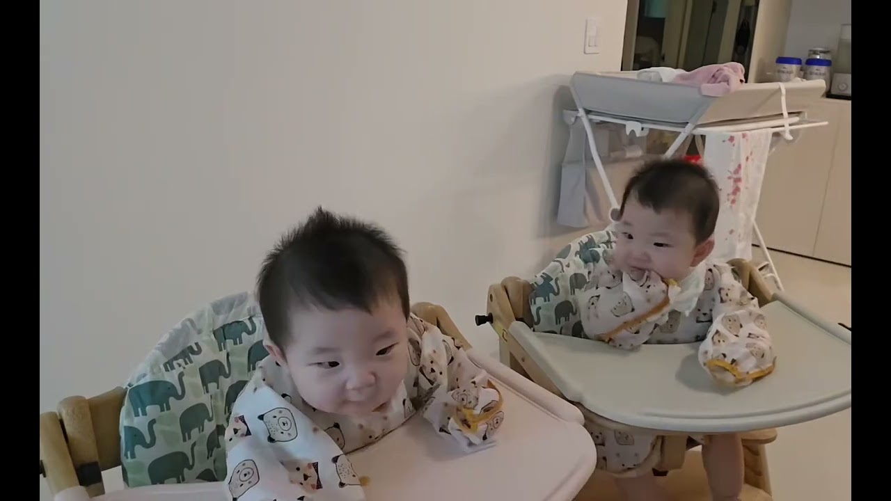 에미가 물어다 주는 벌레를 받아 먹는 참새 새끼들 같은 귀여운 쌍둥이 너무 신기합니다