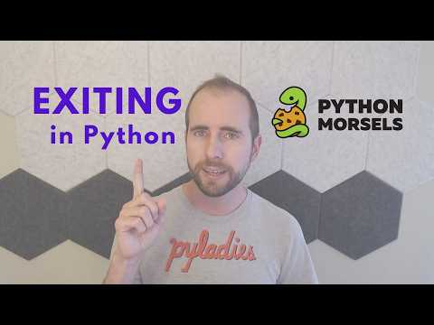Exiting a Python program