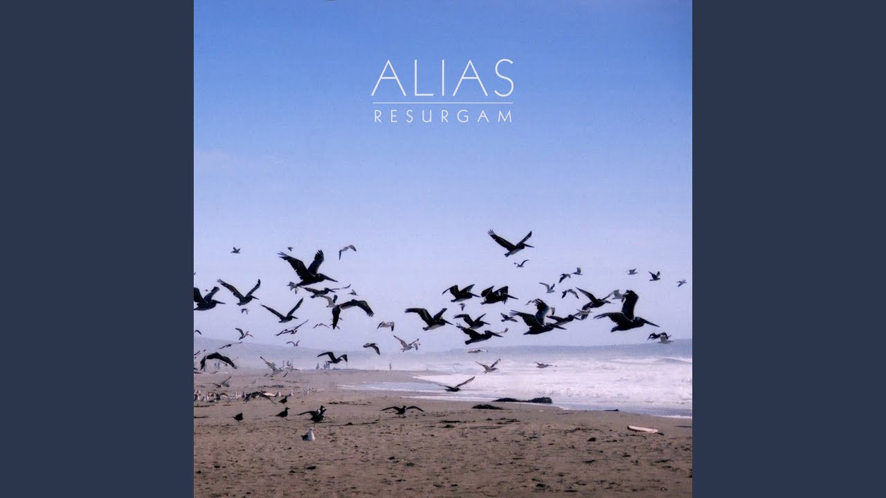 Oakland in the Rearview – Alias