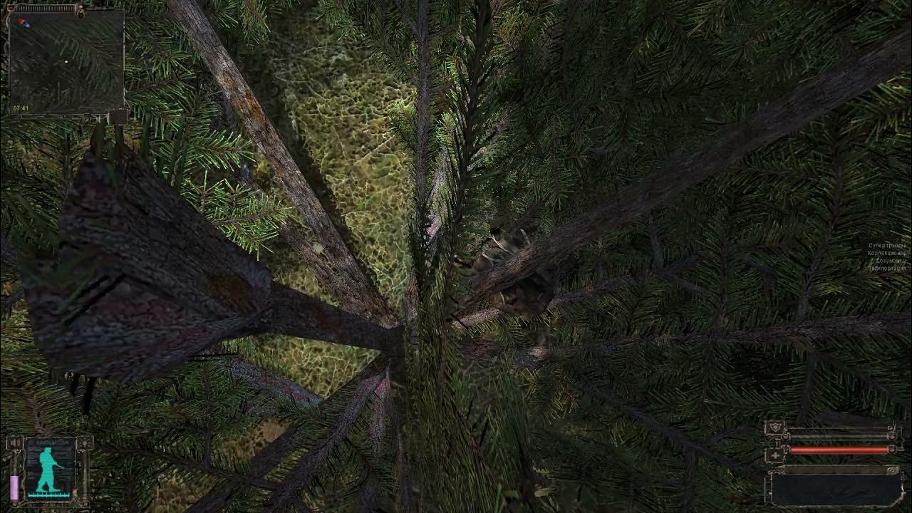 лиманск сталкер тень чернобыля. пулеметчик на кордоне сталкер чистое небо. как пройти через сталкеров на кордоне. артефакты на кордоне чистое небо. сталкер чистое небо артефакты на кордоне.