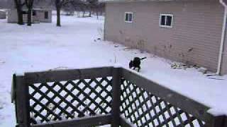 snow 006.AVI
