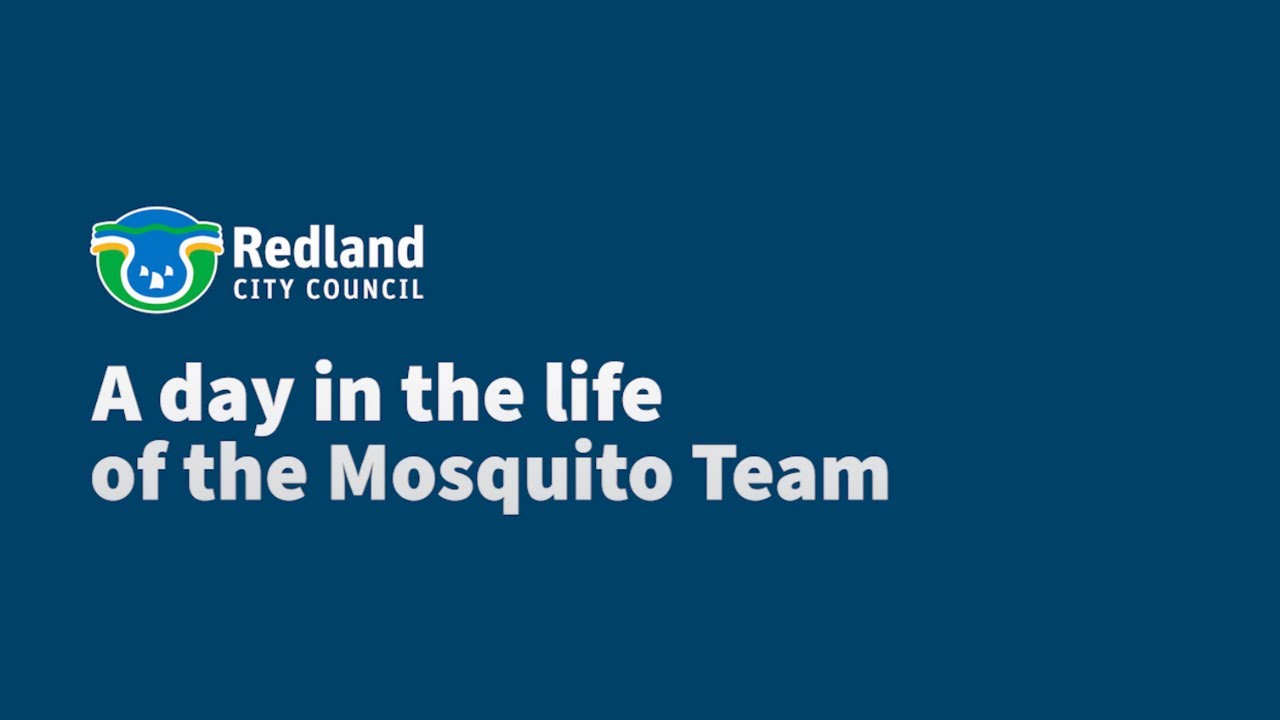 A day in the life of the Redland City Council mosquito team