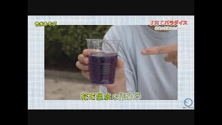 楽しい！子どもの春の遊び。レクリエーション&体験遊び
