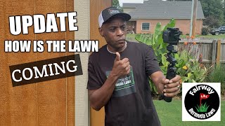 Lawn UPDATE after scarifier & aerating