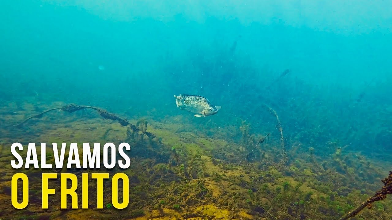 QUANDO O VENTO SOPRA CONTRA NÓS! Pesca Sub - SubTv Spearfishing