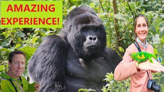 AMAZING GORILLA TREKKING EXPERIENCE!